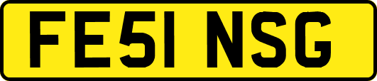 FE51NSG