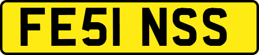 FE51NSS