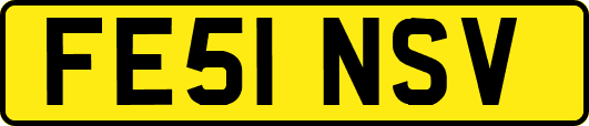 FE51NSV