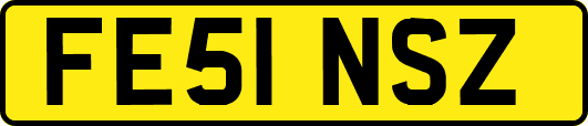 FE51NSZ