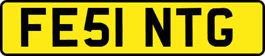 FE51NTG