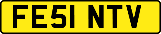 FE51NTV