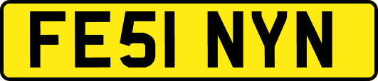 FE51NYN