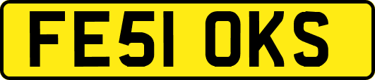 FE51OKS