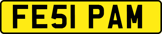 FE51PAM