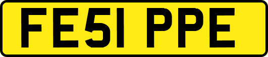 FE51PPE