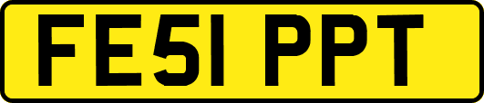 FE51PPT