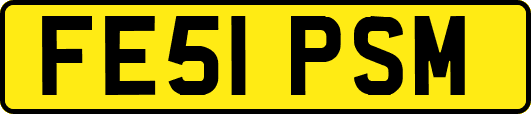 FE51PSM