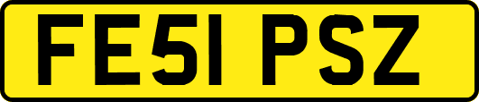 FE51PSZ