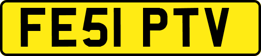 FE51PTV
