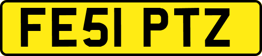 FE51PTZ