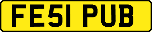 FE51PUB