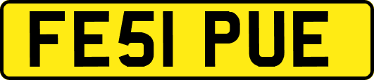 FE51PUE