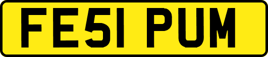 FE51PUM