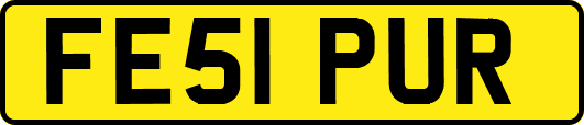 FE51PUR