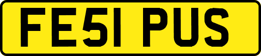 FE51PUS