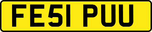 FE51PUU