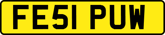 FE51PUW