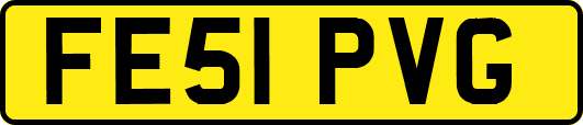 FE51PVG