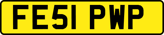 FE51PWP