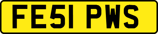 FE51PWS