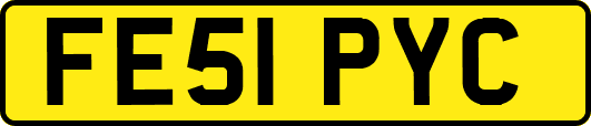 FE51PYC