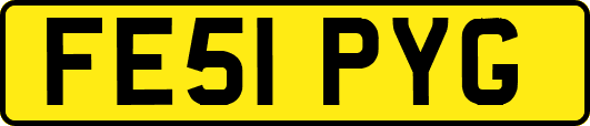 FE51PYG