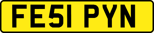 FE51PYN