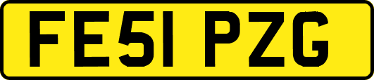 FE51PZG