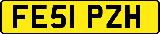 FE51PZH