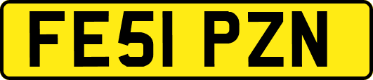 FE51PZN