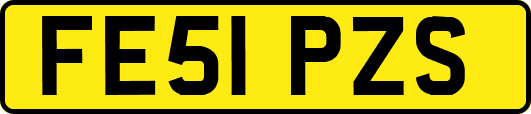 FE51PZS