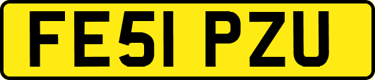 FE51PZU