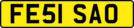 FE51SAO