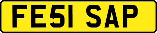 FE51SAP