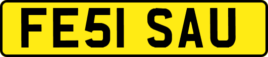 FE51SAU
