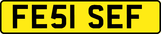 FE51SEF