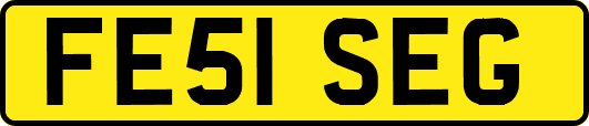 FE51SEG