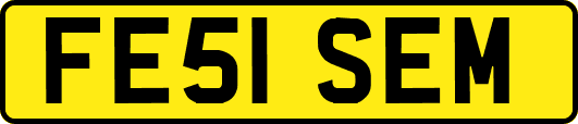 FE51SEM