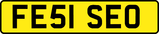 FE51SEO