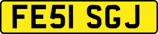 FE51SGJ