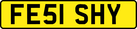 FE51SHY