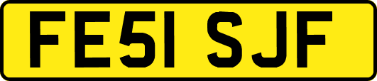 FE51SJF