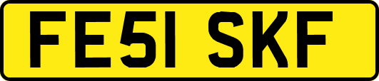 FE51SKF