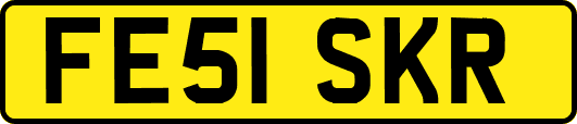 FE51SKR
