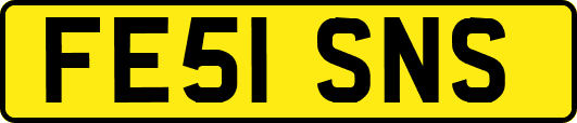 FE51SNS