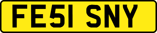 FE51SNY