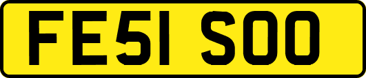 FE51SOO