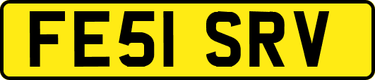 FE51SRV