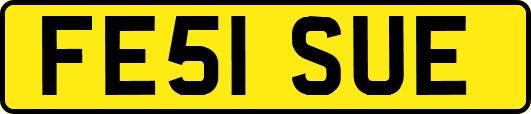 FE51SUE